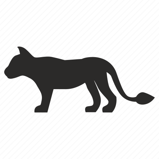 Animal, cat, panther, wild icon - Download on Iconfinder