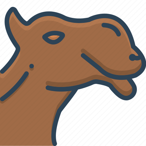 Animal, camel, face, pet icon - Download on Iconfinder