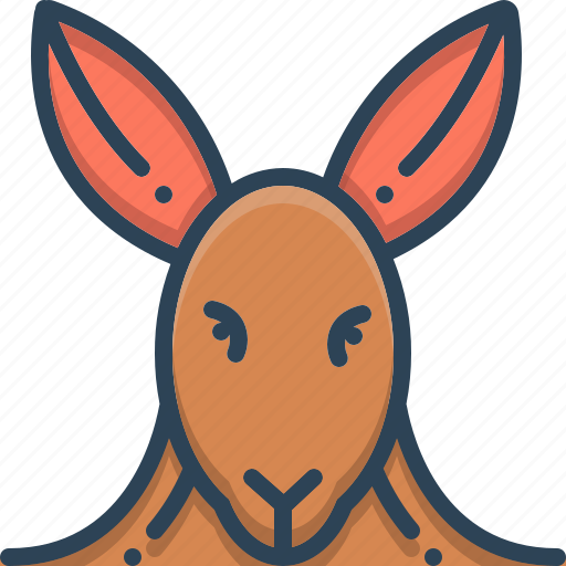 Animal, face, kangaroo icon - Download on Iconfinder
