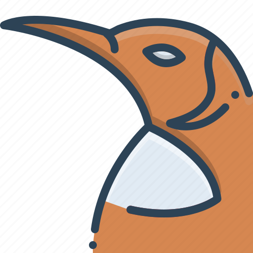 Animal, bird, nature, penguin, wildlife, zoo icon - Download on Iconfinder