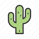 cactus, desert, land, natural, outdoor, plant, sand