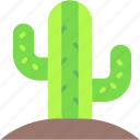 cactus, desert, nature, plant, dry