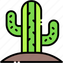 cactus, desert, nature, plant, dry