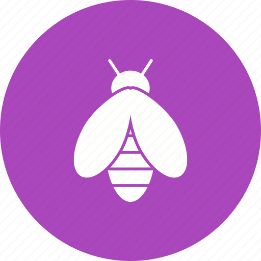Bee, bees, fly, honey, honeybee, nature, wing icon - Download on Iconfinder