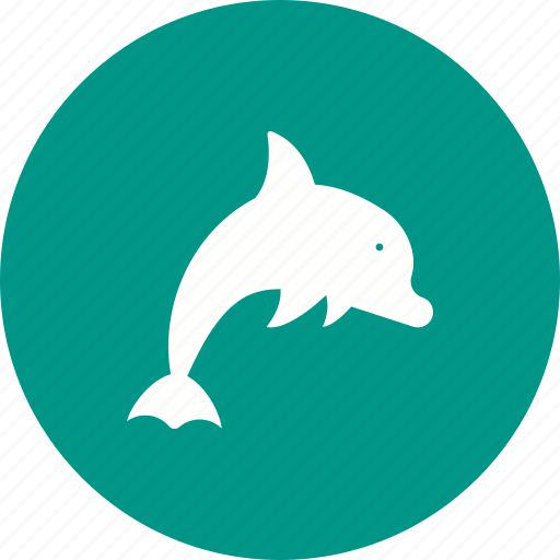 Animal, beautiful, blue, dolphin, jump, nature, ocean icon - Download on Iconfinder