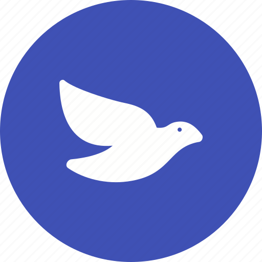 Bird, dove, flying, nature, peace, pigeon, sky icon - Download on Iconfinder