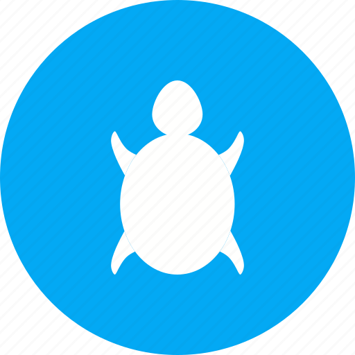 Green, ocean, reptile, sea, swimming, turtle, underwater icon - Download on Iconfinder