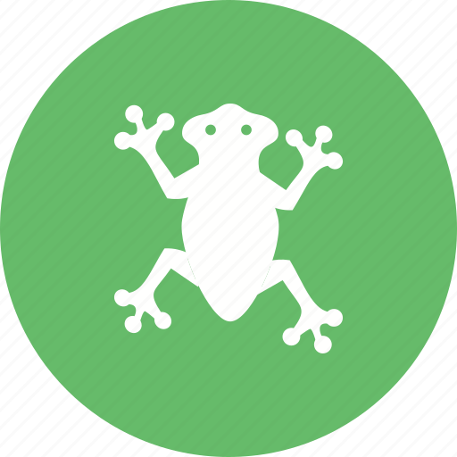 Amphibian, animal, frog, frogs, green, tropical, water icon - Download on Iconfinder