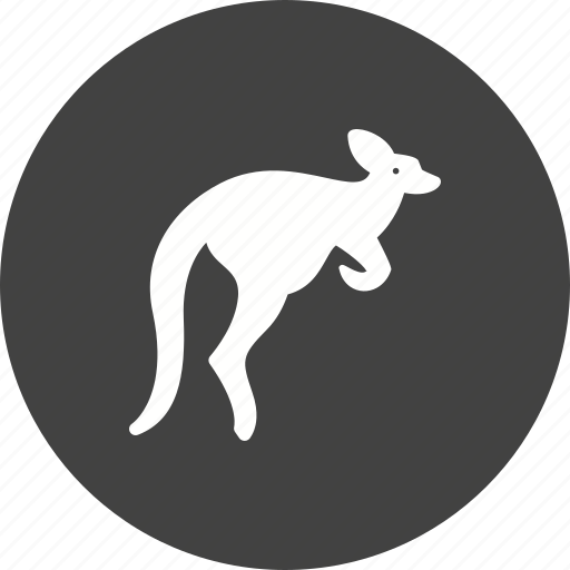 Animal, australia, brown, kangaroo, kangaroos, pouch, wildlife icon - Download on Iconfinder