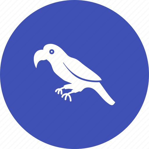 Bird, cute, fly, flying, green, jungle, parrot icon - Download on Iconfinder