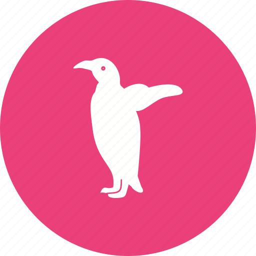 Animal, bird, cute, penguin, penguins, snow, young icon - Download on Iconfinder