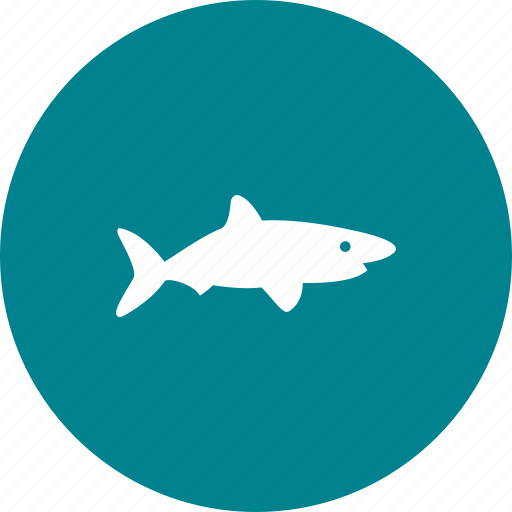 Blue, dive, fish, shark, sharks, whale, wildlife icon - Download on Iconfinder