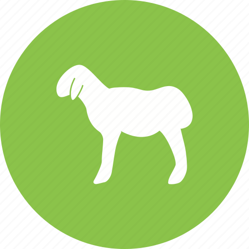 Animal, domestic, farm, mammal, sheep, vertebrate, wool icon - Download on Iconfinder