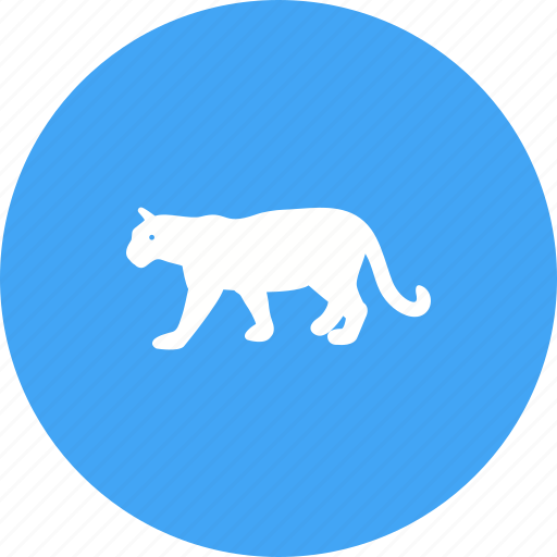 Animal, carnivore, cub, mammal, predator, tiger, wild icon - Download on Iconfinder