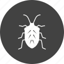 ant, beetle, bug, crawler, moth, pest, termite