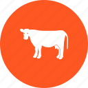 animal, cattle, cow, dairy, farm, milk, milking