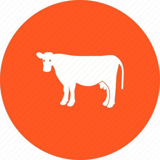 Animal, cattle, cow, dairy, farm, milk, milking icon - Download on Iconfinder