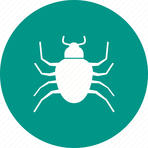 Beetle, bug, crawler, insect, mite, pest, termite icon - Download on Iconfinder