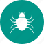 beetle, bug, crawler, insect, mite, pest, termite 