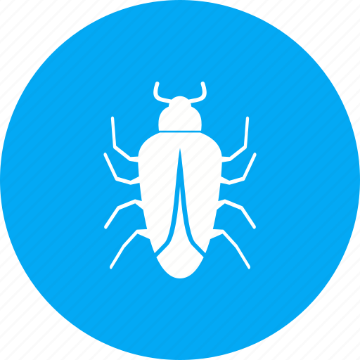 Beetle, bug, crawler, insect, mite, pest, termite icon - Download on Iconfinder