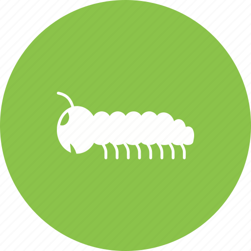 Animal, caterpillar, larva, moth, moths, pest, worm icon - Download on Iconfinder