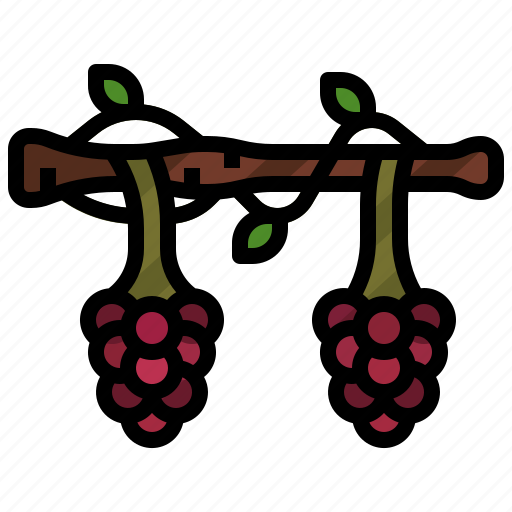 Grapevine, grape, agriculture, harvest, farming icon - Download on Iconfinder