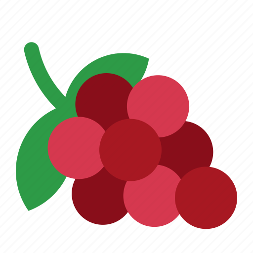 Grapevine, fresh, grape, fruit, nutrition, healthy, organic icon - Download on Iconfinder