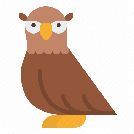 Animal, nature, life, snowy, owl icon - Download on Iconfinder