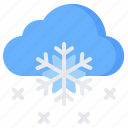 snowfall, snowflake, snow, cloud, winter, forecast, weather