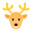 winter, deer 