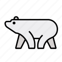 bear, polar, animal, arctic, freezing, northpole, mammal, ecology