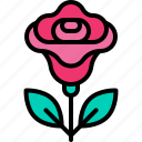 rose, flower, love, valentine, gift, wedding, romantic