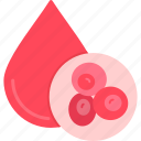 blood, cells
