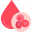 blood, cells 