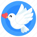 love dove, love pigeon, pigeon, love sending bird, peace bird
