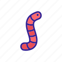 animal, biology, caterpillar, contour, insect, worm