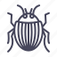 beetle, colorado potato beetle, insects, pest, scarab, bug, vermit 