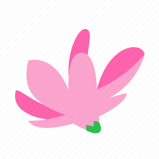 Floral, flower, magnolia, nature, nobility icon - Download on Iconfinder