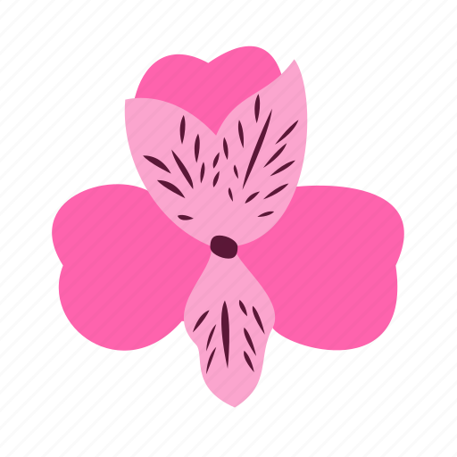 Alstroemeria, floral, flower, nature, prosperity icon - Download on Iconfinder
