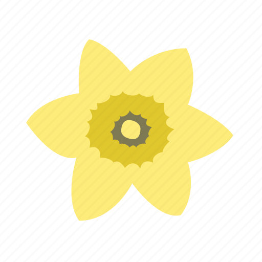 Daffodil, floral, flower, nature, newbeginning icon - Download on Iconfinder