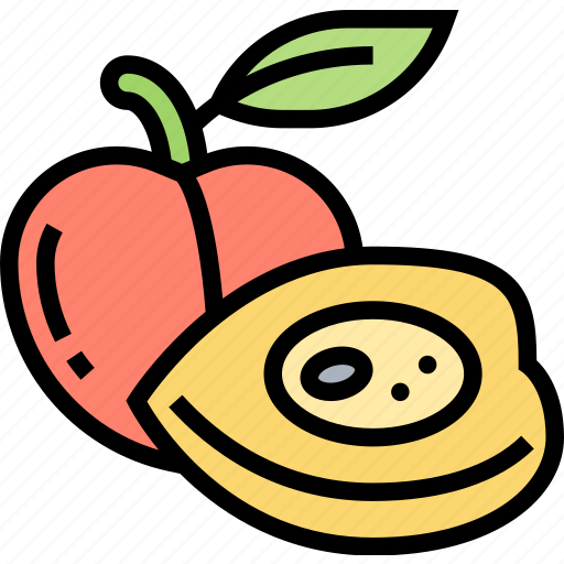 Apricot, fruit, diet, fresh, juicy icon - Download on Iconfinder