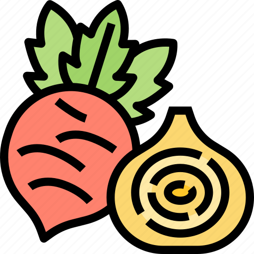 Beetroot, vegetable, ingredient, food, fresh icon - Download on Iconfinder