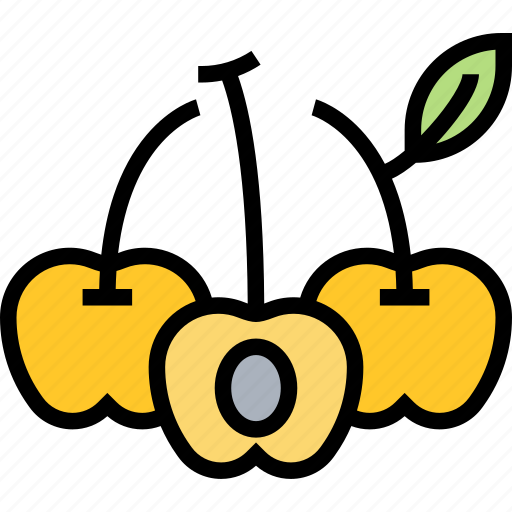Cherry, berry, fruit, sour, fresh icon - Download on Iconfinder