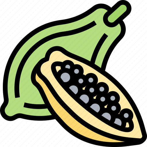 Papaya, ripe, fruit, sweet, tropical icon - Download on Iconfinder