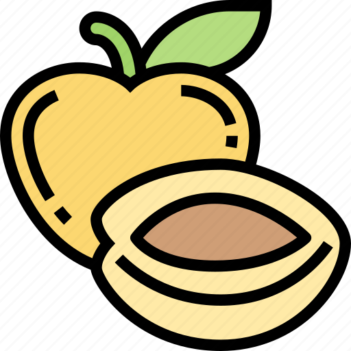 Plum, fruit, sweet, juicy, fresh icon - Download on Iconfinder
