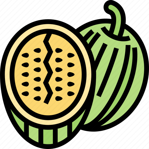 Watermelon, fruit, fresh, juicy, sweet icon - Download on Iconfinder