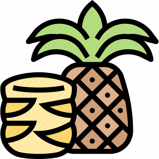 Pineapple, fruit, juice, ingredient, tropical icon - Download on Iconfinder