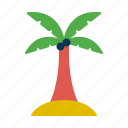 island, palm, tree 