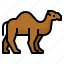 animal, camel, wildlife, zoo 