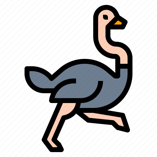 Animal, ostrich, wildlife, zoo icon - Download on Iconfinder
